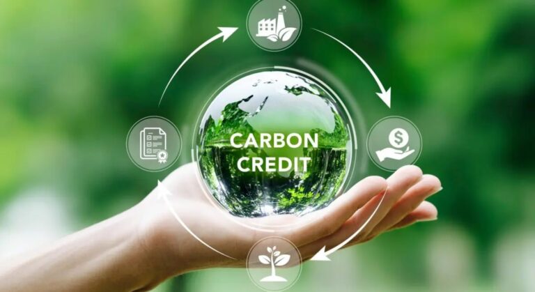 carbon credit
