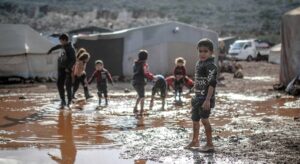conflict and environmental damage