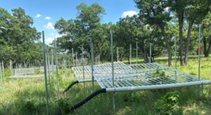 grass land and climate extreme