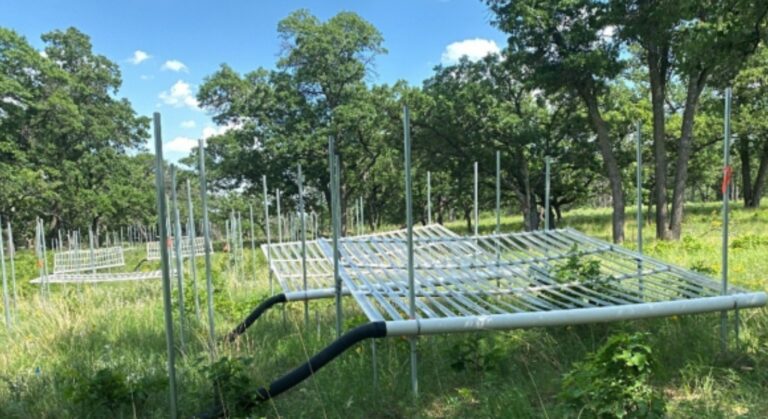 grass land and climate extreme