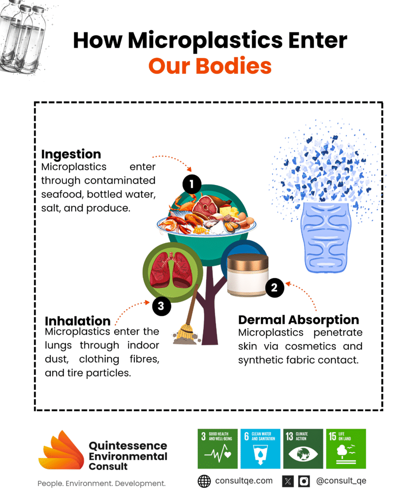 Microplastic and human body
