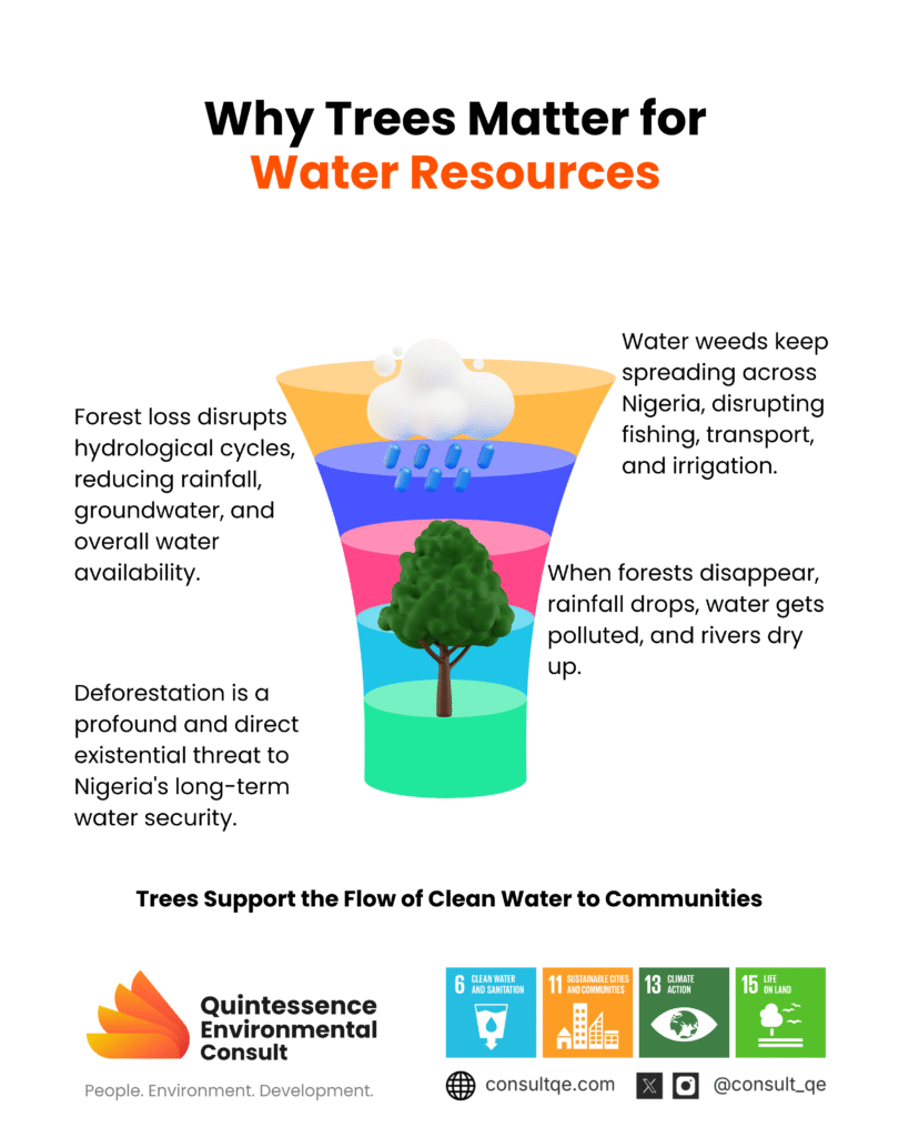 Trees for Water Resources