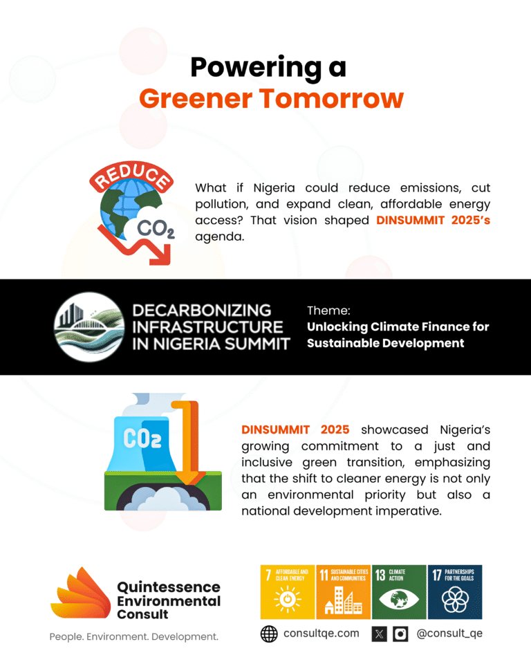 Highlights from The DinSummit on Nigeria's Sustainable Future