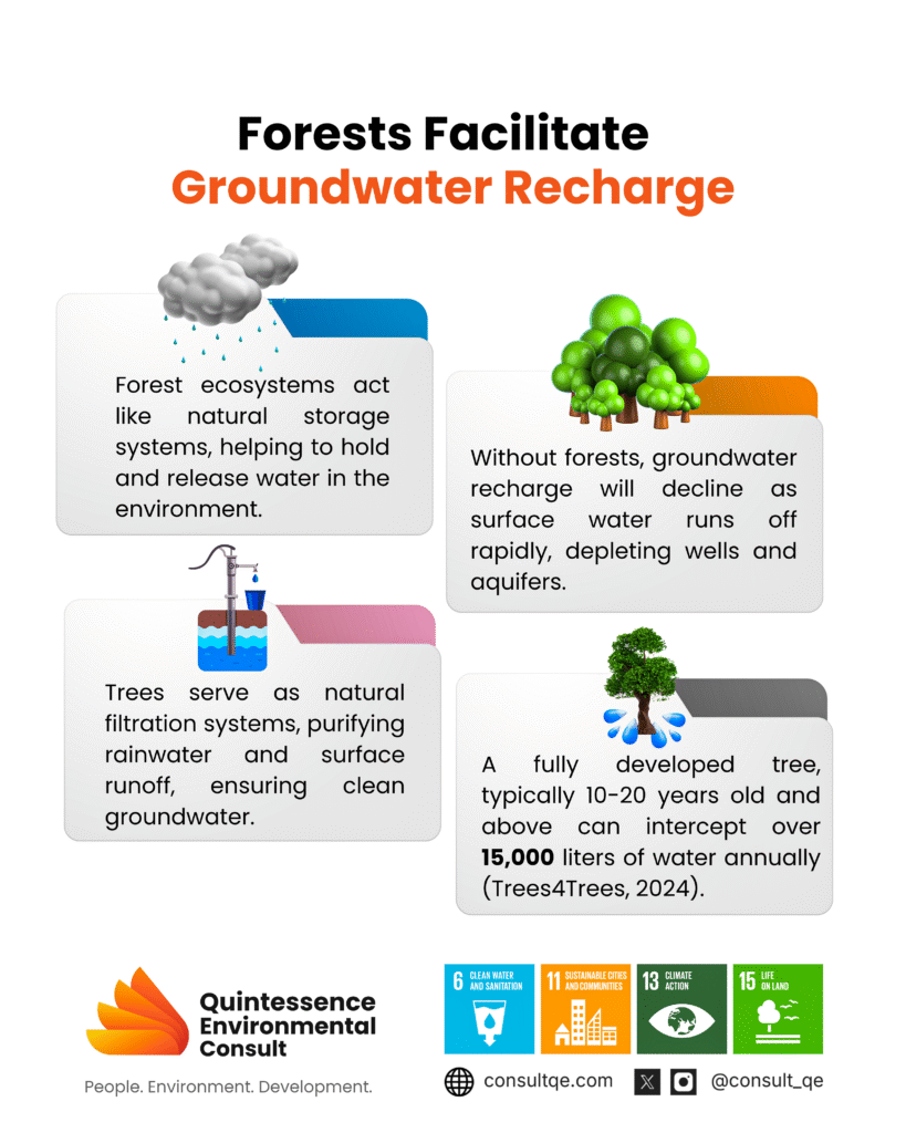 Forest Facilitate Groundwater resources