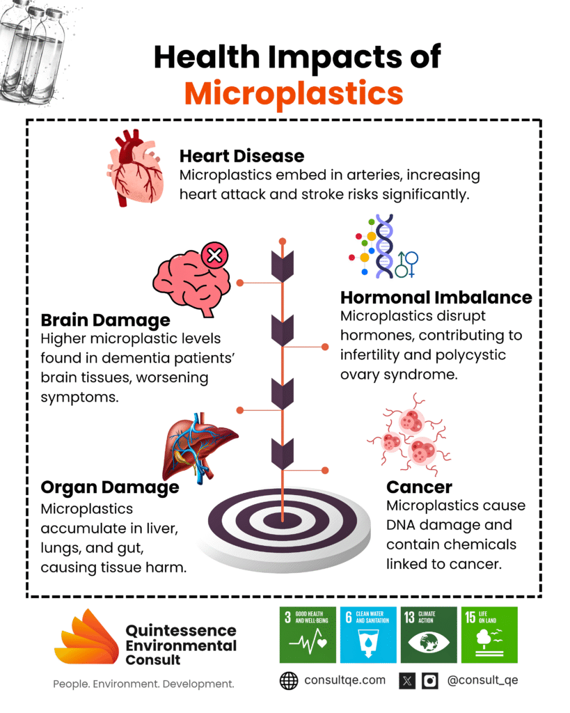 health impact of microplastics