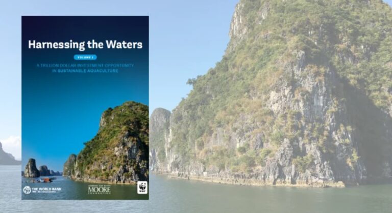 harnessing the waters
