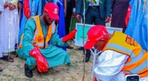 Tree planting in Kano State