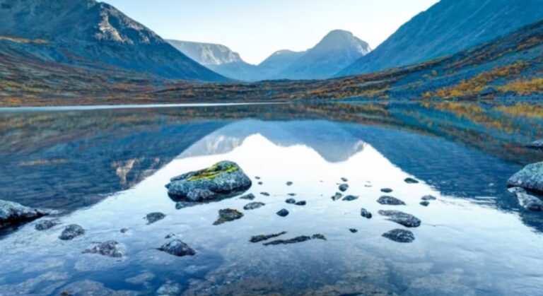 micro artic lakes