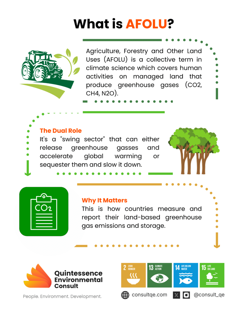 Cultivating Change: Nigeria’s AFOLU Sector as a Cornerstone of Climate Action Cultivating Change: Nigeria’s AFOLU Sector as a Cornerstone of Climate Action