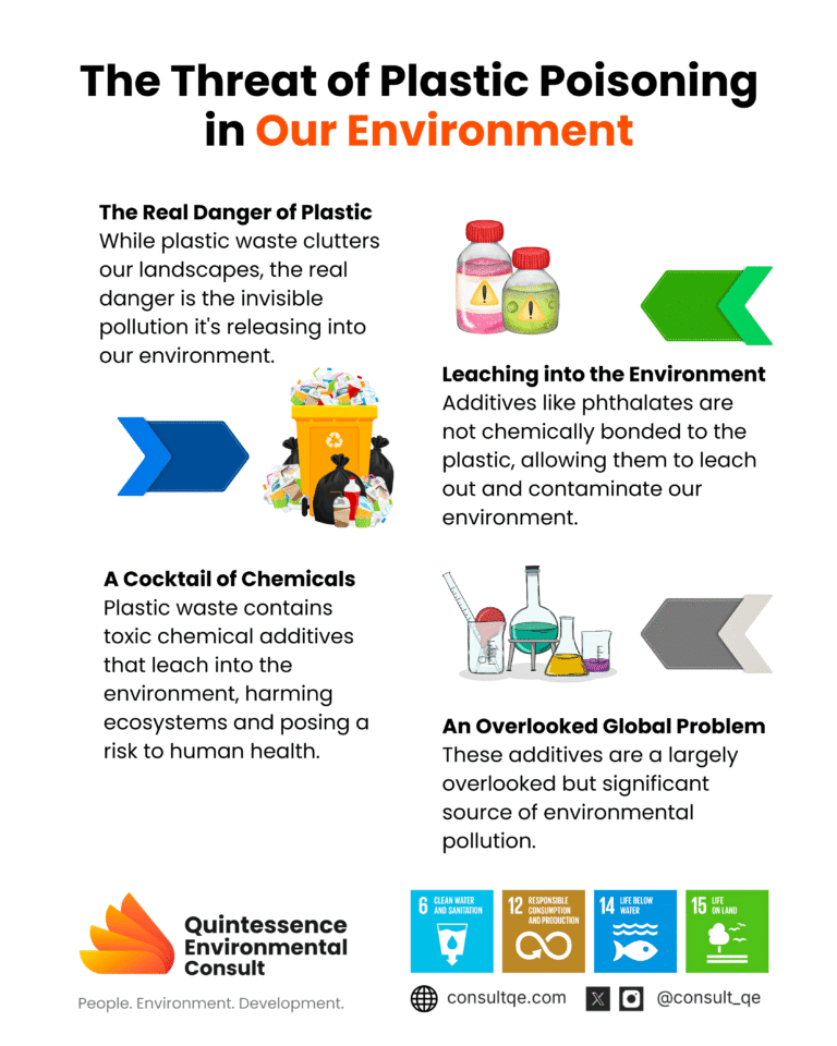 Plastic Poisoning in our Environment