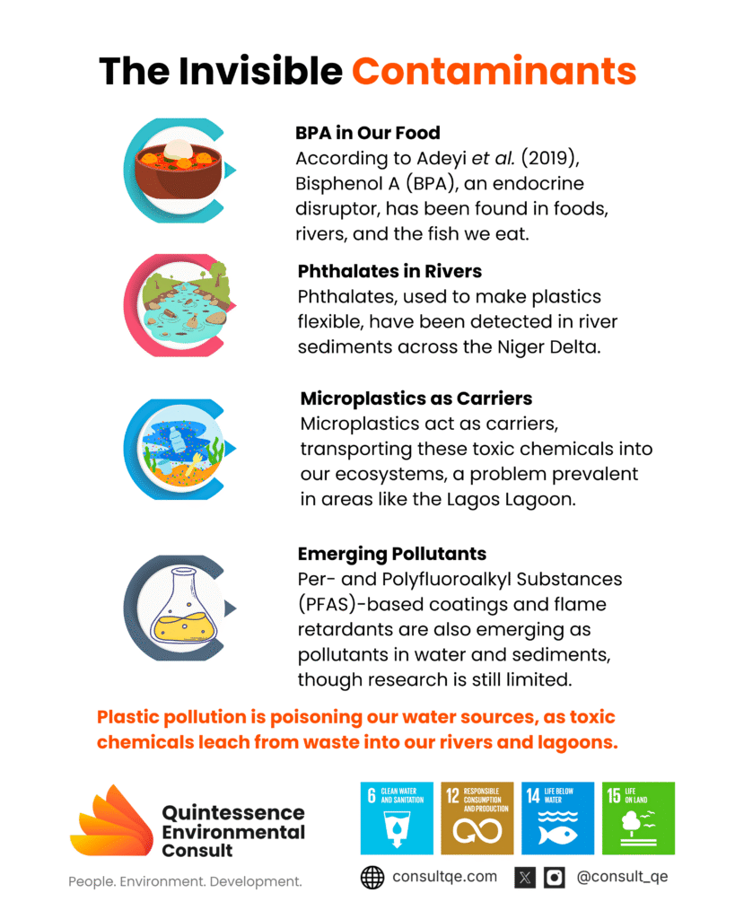 Plastic Contaminants