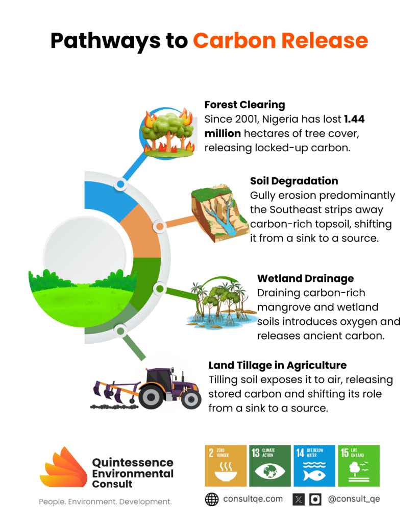 Pathways to carbon release