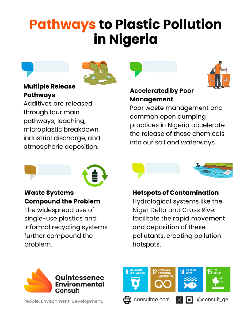 Pathways in Plastic Pollution