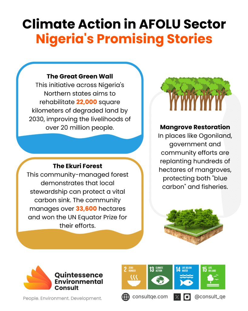 Climate Action in AFOLU