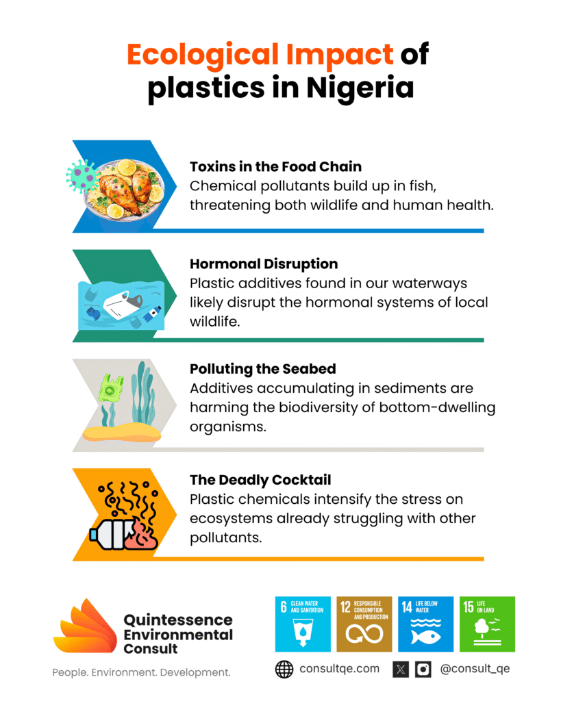 Ecological Effects of Plastics