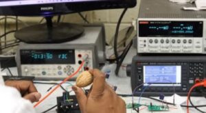 Generating Green Energy Using Nut Waste