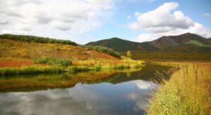 Nitrogen Composition in Artic Rivers