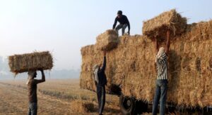 crop waste recycling