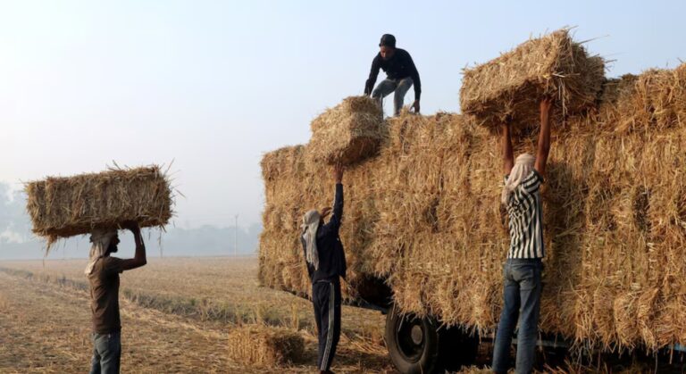 crop waste recycling