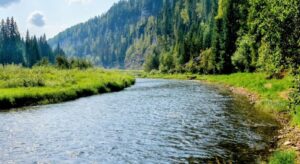 rivers soaking up Carbon