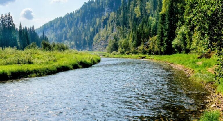 rivers soaking up Carbon